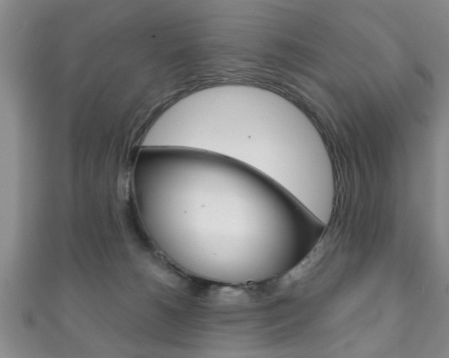 X0000111790180200907230956