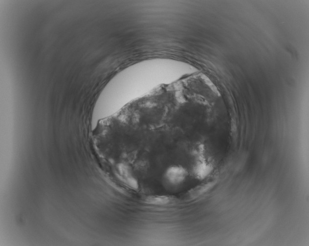 X0000111790181200907230956