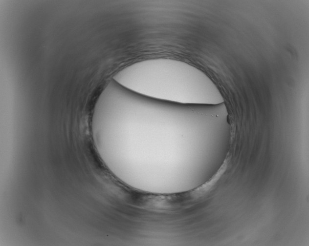 X0000111790182200907230956
