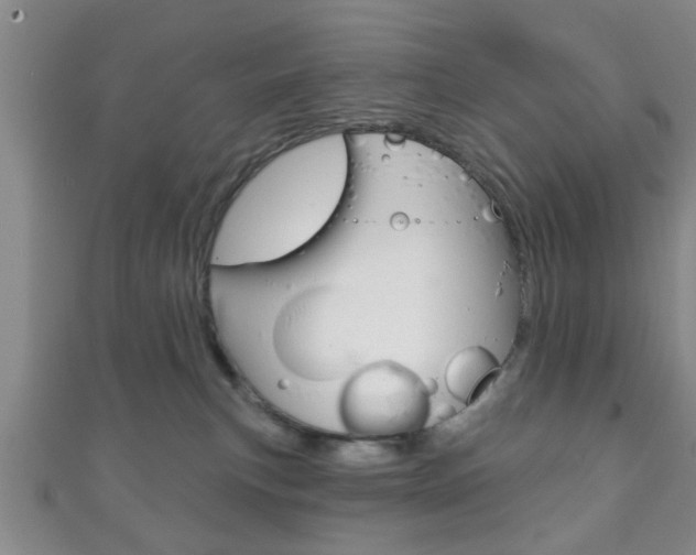 X0000111790183200907230956