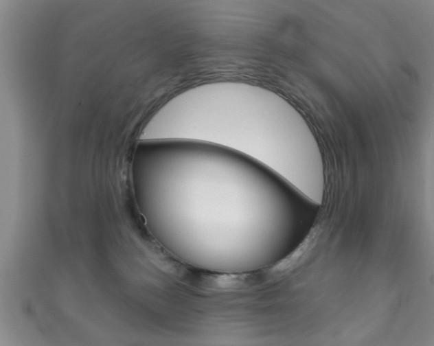 X0000111790184200907230956