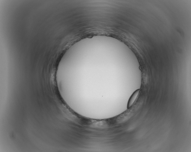 X0000111790185200907230956
