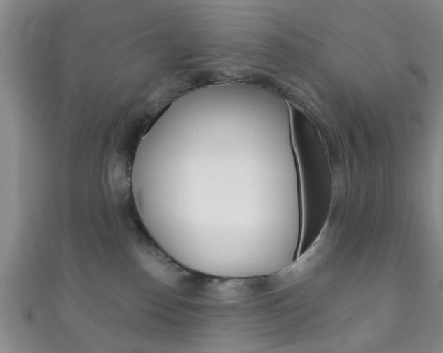 X0000111790186200907230956