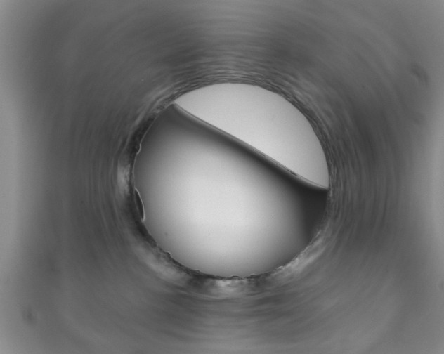 X0000111790188200907230956