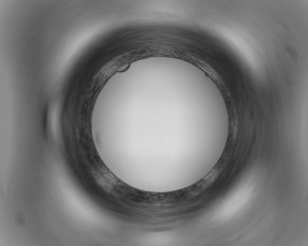 X0000111790189200907230956