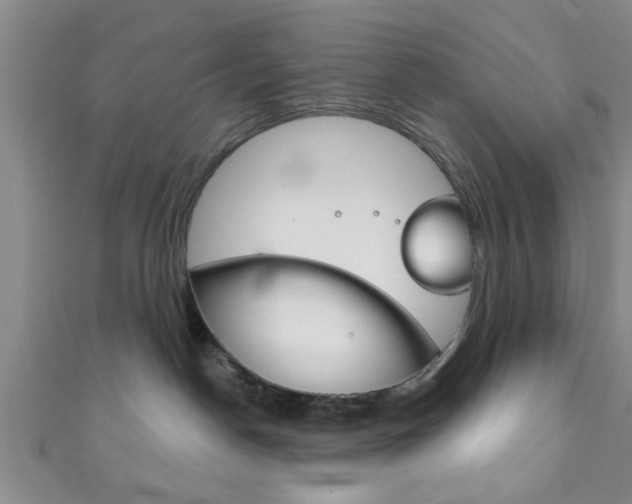 X0000111790190200907230956