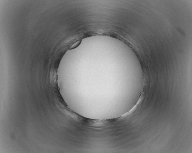 X0000111790191200907230956