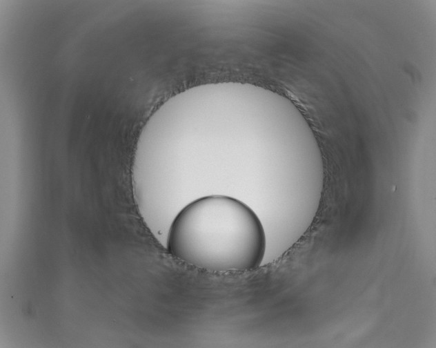 X0000111790192200907230956