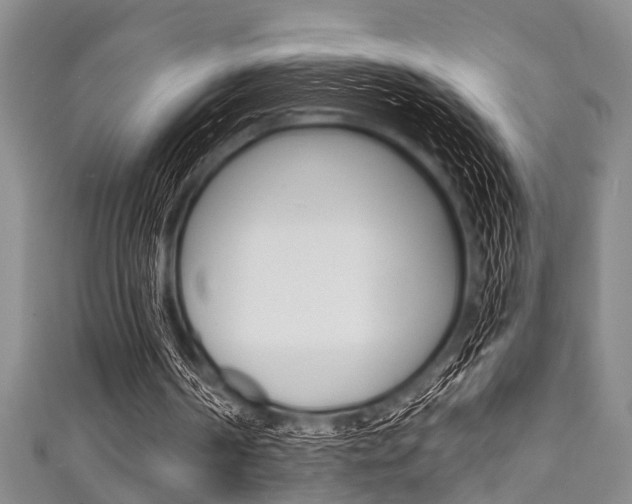 X0000111790194200907230956