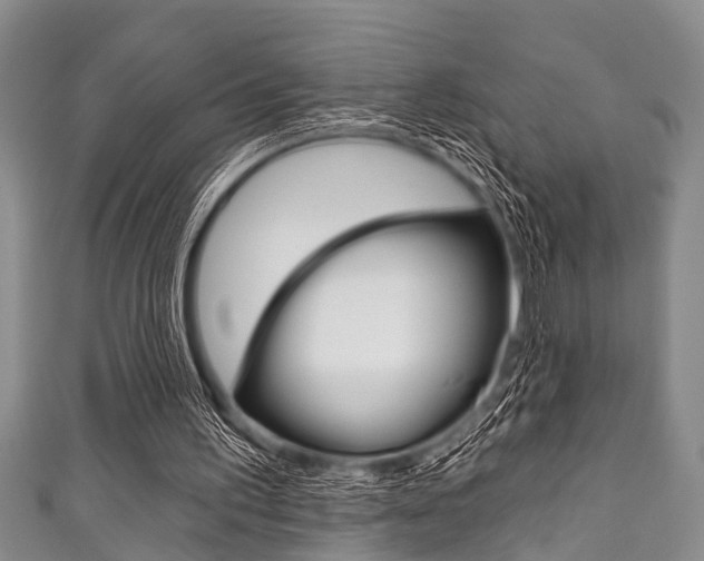 X0000111790195200907230956