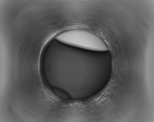 X0000111790196200907230956