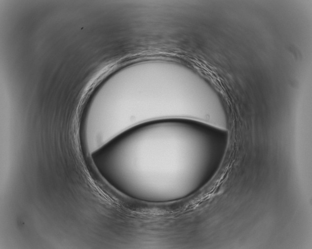 X0000111790197200907230956