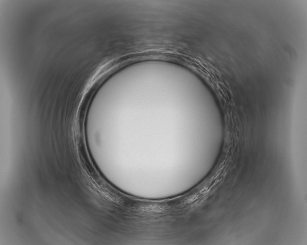 X0000111790198200907230956