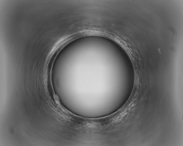 X0000111790199200907230956