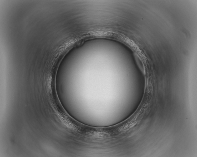 X0000111790201200907230956