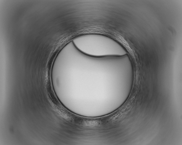 X0000111790202200907230956