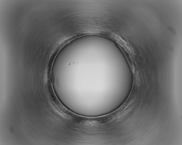 X0000111790203200907230956