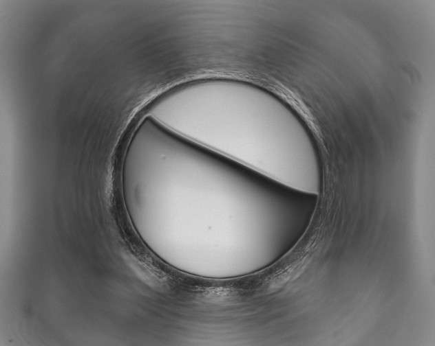 X0000111790204200907230955