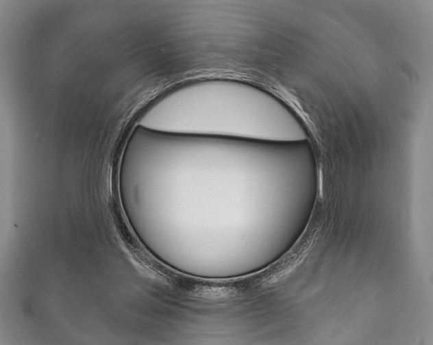 X0000111790205200907230955