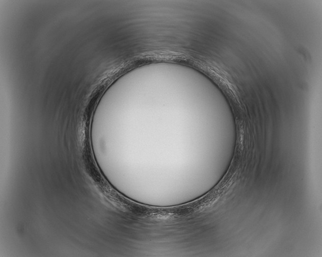 X0000111790206200907230955
