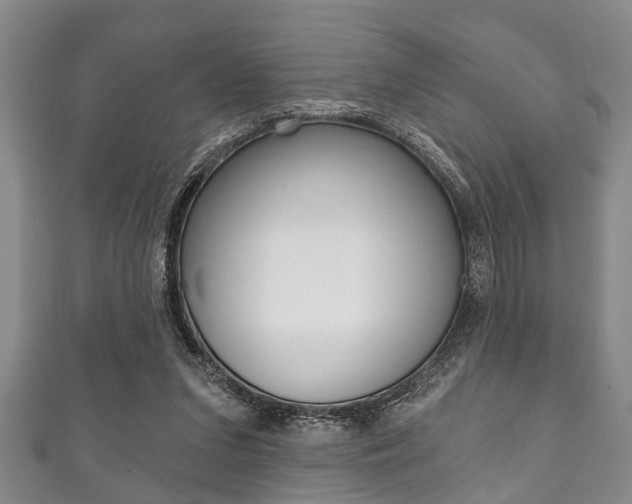 X0000111790207200907230955