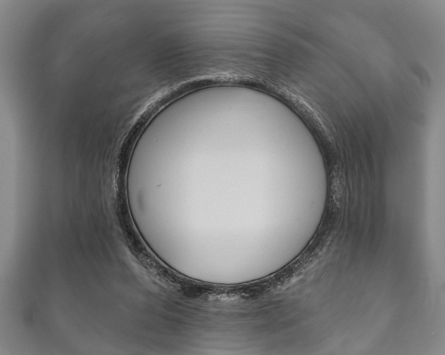 X0000111790208200907230955