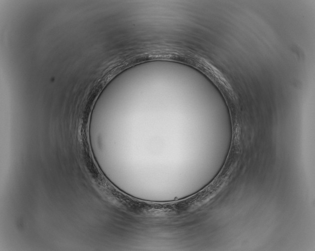 X0000111790209200907230955