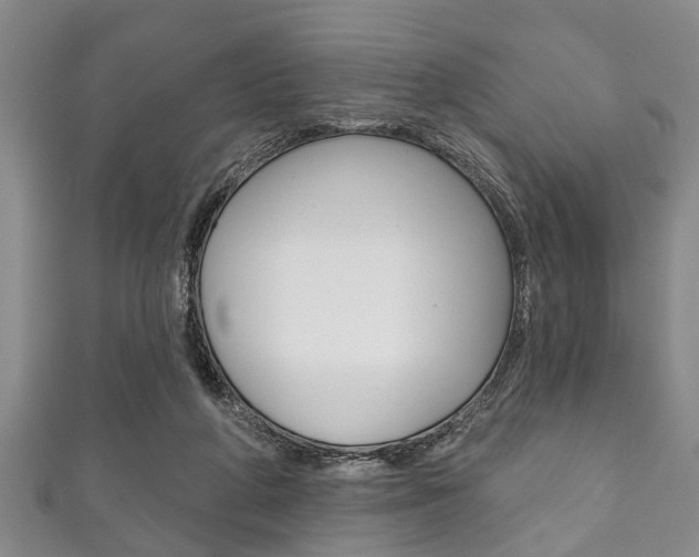 X0000111790210200907230955