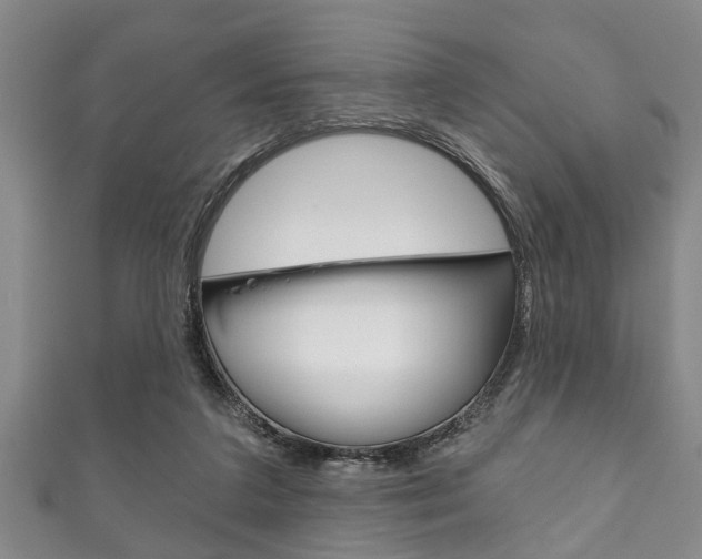 X0000111790211200907230955
