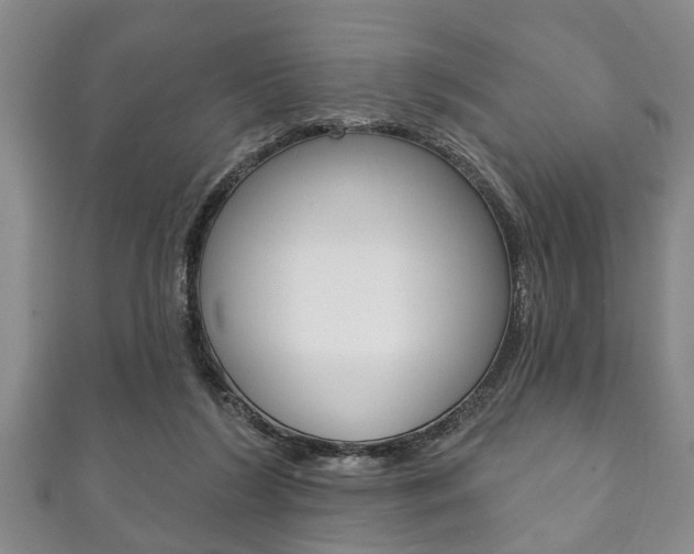X0000111790212200907230955