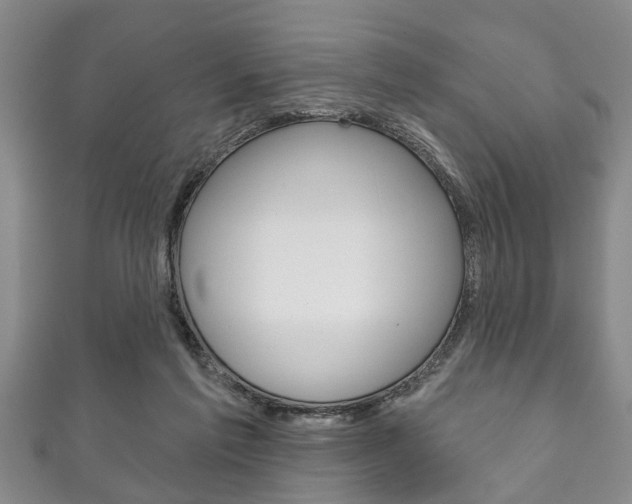 X0000111790213200907230955