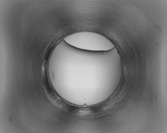 X0000111790214200907230955