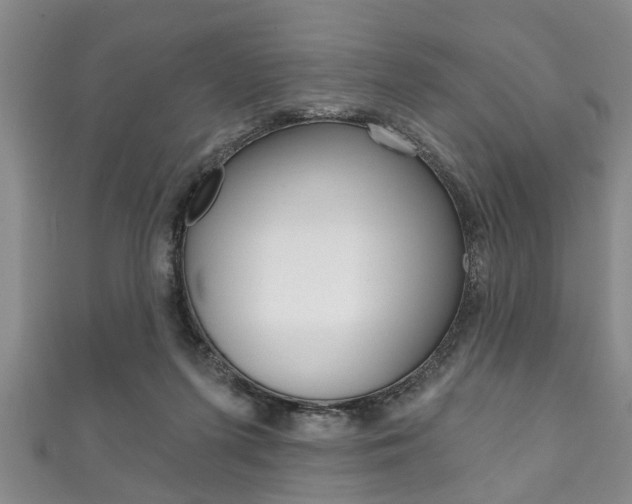 X0000111790215200907230955
