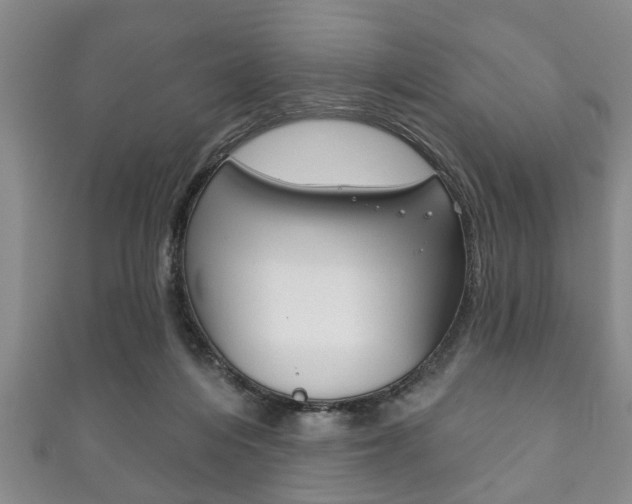 X0000111790216200907230955