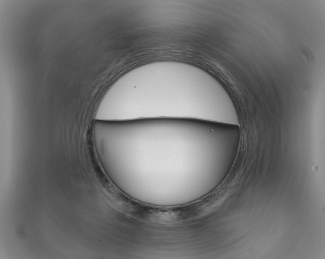 X0000111790217200907230955