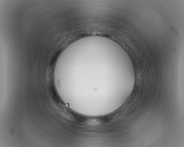 X0000111790218200907230955