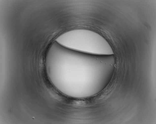 X0000111790220200907230955