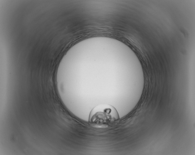 X0000111790221200907230955