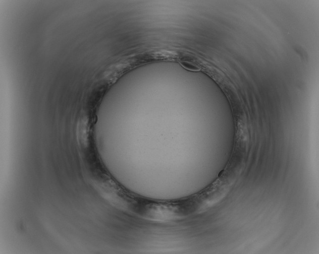 X0000111790223200907230955