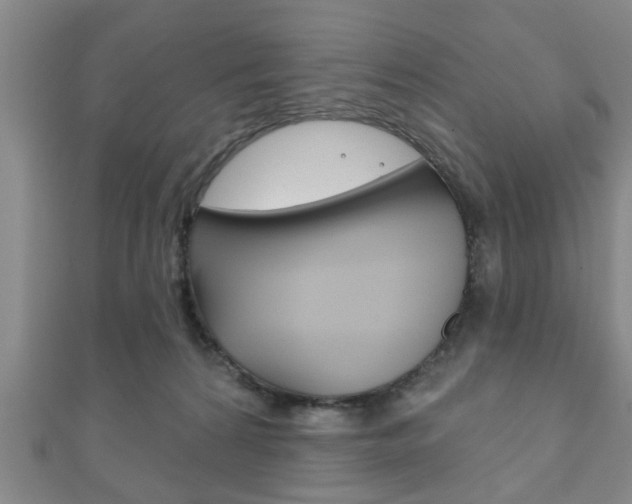 X0000111790224200907230955