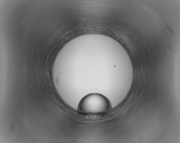 X0000111790225200907230955
