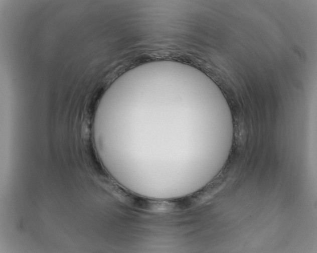 X0000111790226200907230955