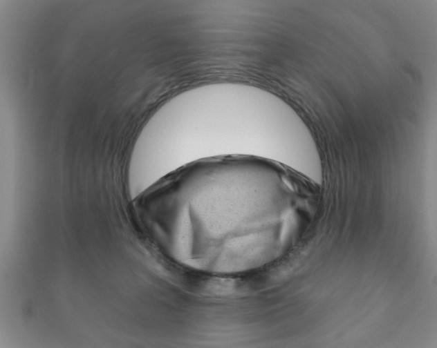 X0000111790227200907230955