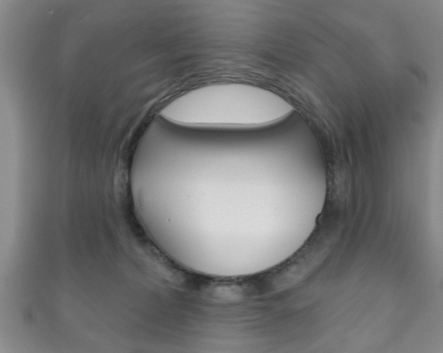X0000111790228200907230955