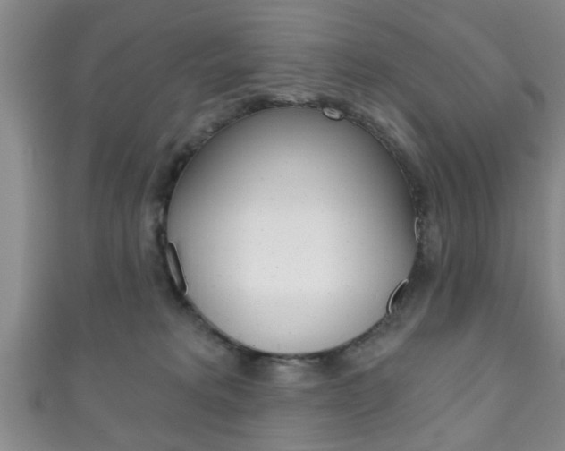 X0000111790229200907230955