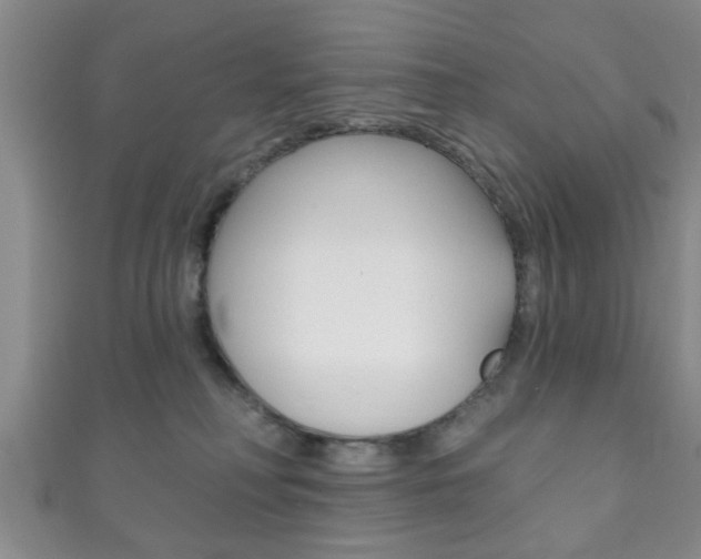 X0000111790230200907230955