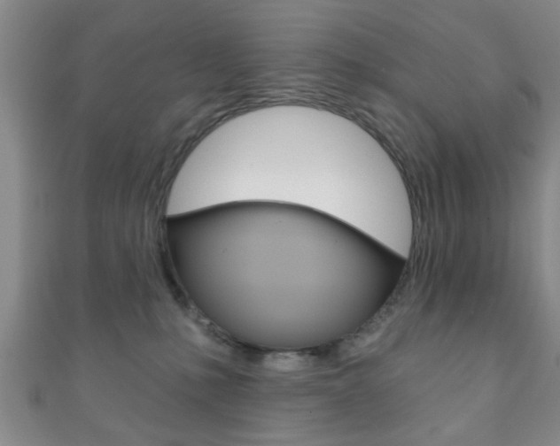 X0000111790231200907230955