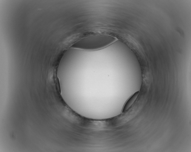 X0000111790233200907230955