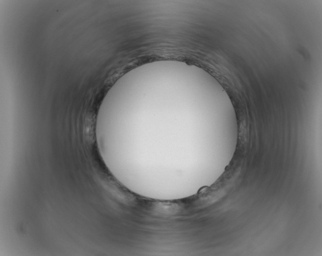 X0000111790234200907230955