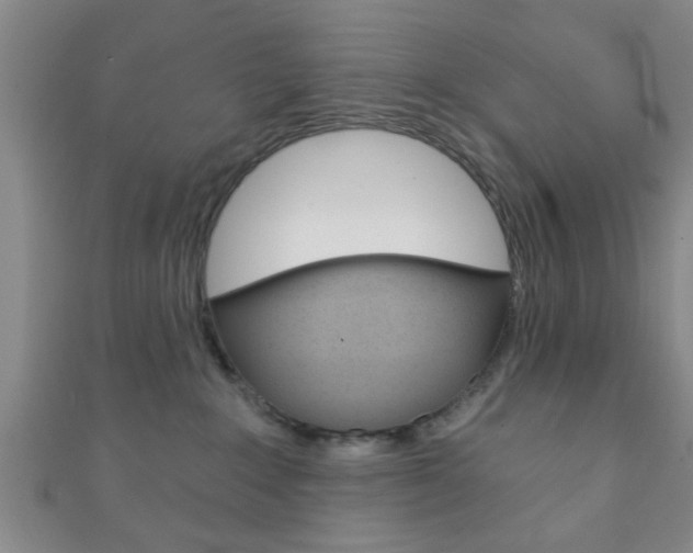 X0000111790235200907230955